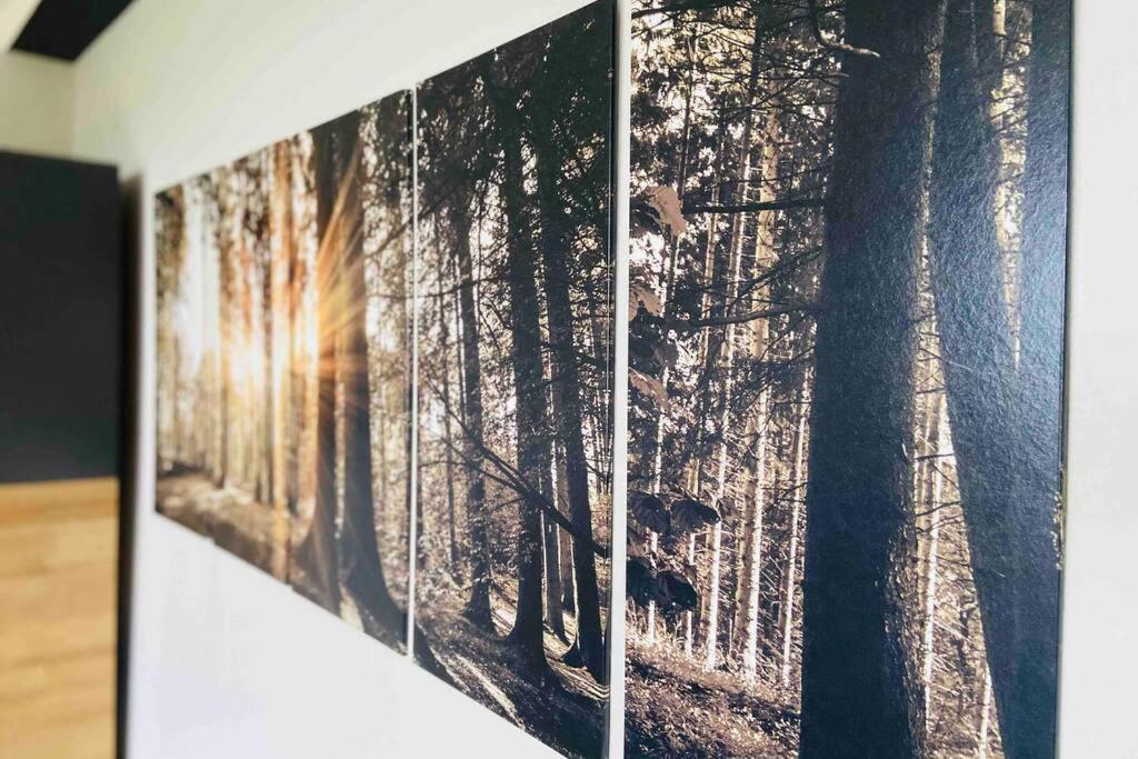 Schoenes Ruhiges App Mit Panoramablick Auf Den Harz برونلاغ المظهر الخارجي الصورة